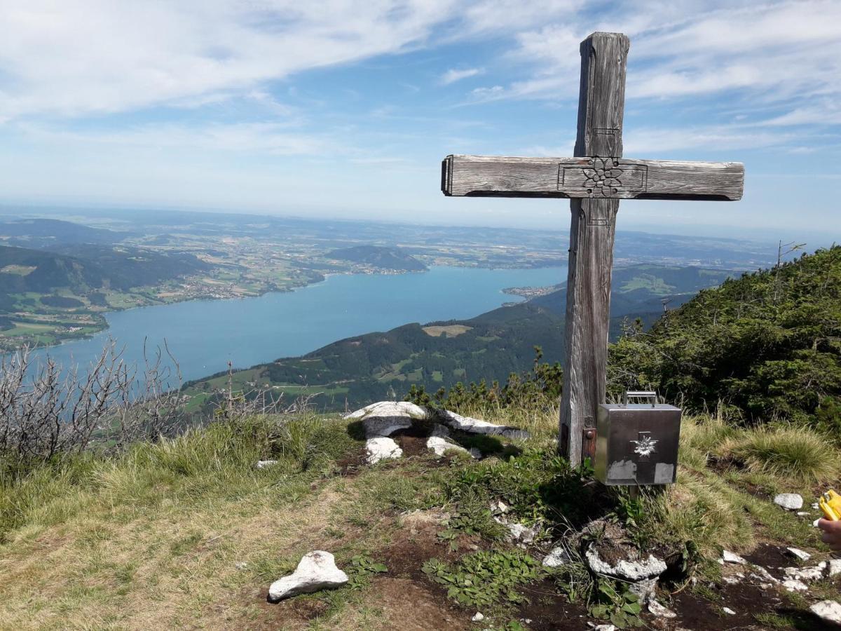 Appartamento Ferien-Garconniere Hemetsberger Weyregg Esterno foto