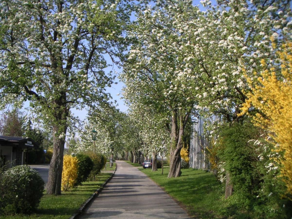 Appartamento Ferien-Garconniere Hemetsberger Weyregg Esterno foto